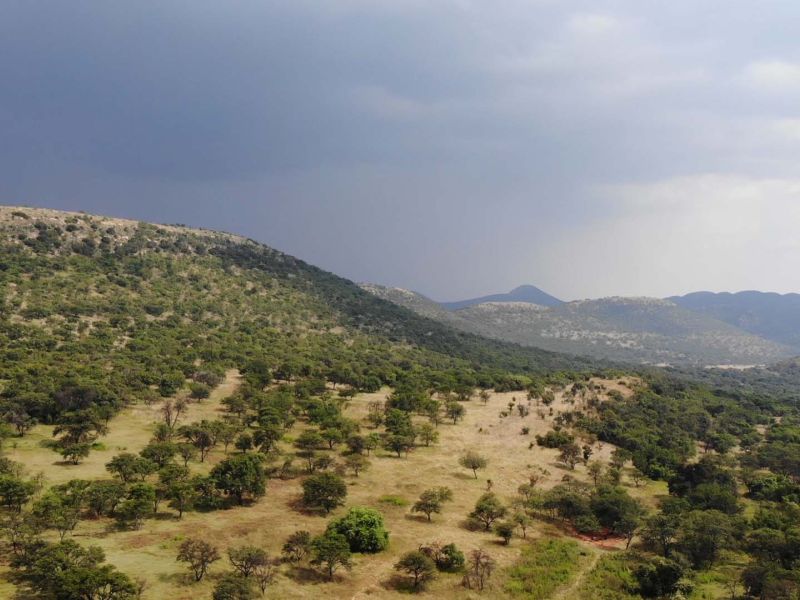 Thwane Bush Camp landscape near Parys